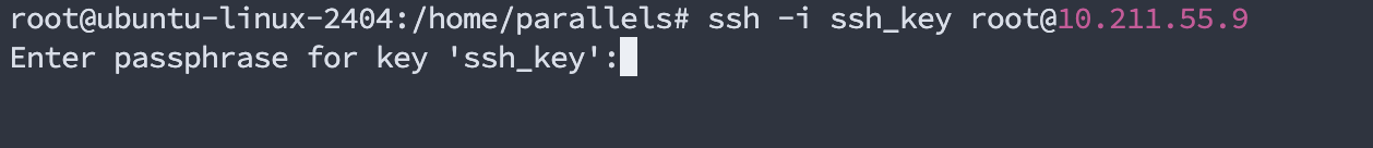 image-20250319105557842