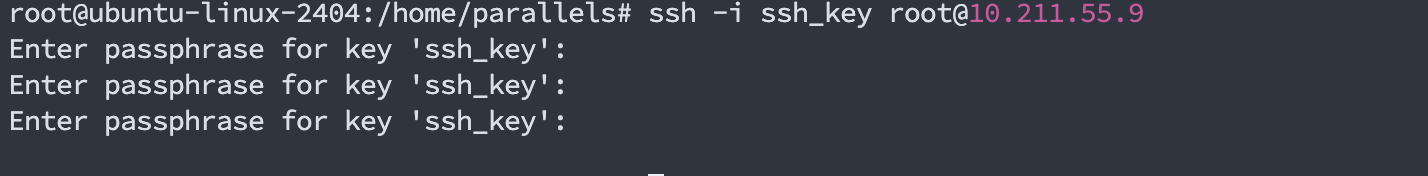 image-20250319112407112